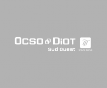 DIOT SUD OUEST OCSO DIOT SUD OUEST OCSO